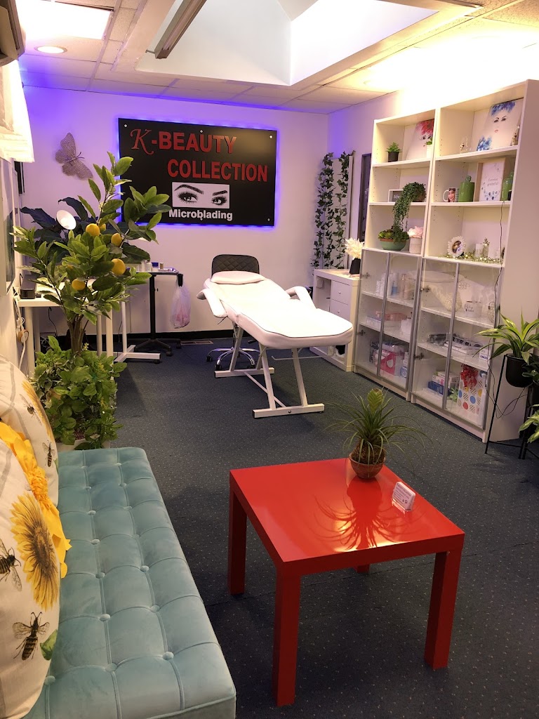 K Beauty Collection Microblading 21042
