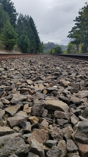 Golf Course «The Home Course», reviews and photos, Golf House Rd, DuPont, WA 98327, USA