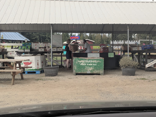 Pumpkin Patch «Rutledge Corn Maze LLC», reviews and photos, 302 93rd Ave SE, Olympia, WA 98501, USA