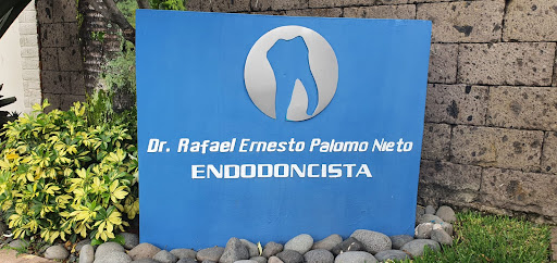 Clínica de endodoncia Dr. Ernesto Palomo Nieto