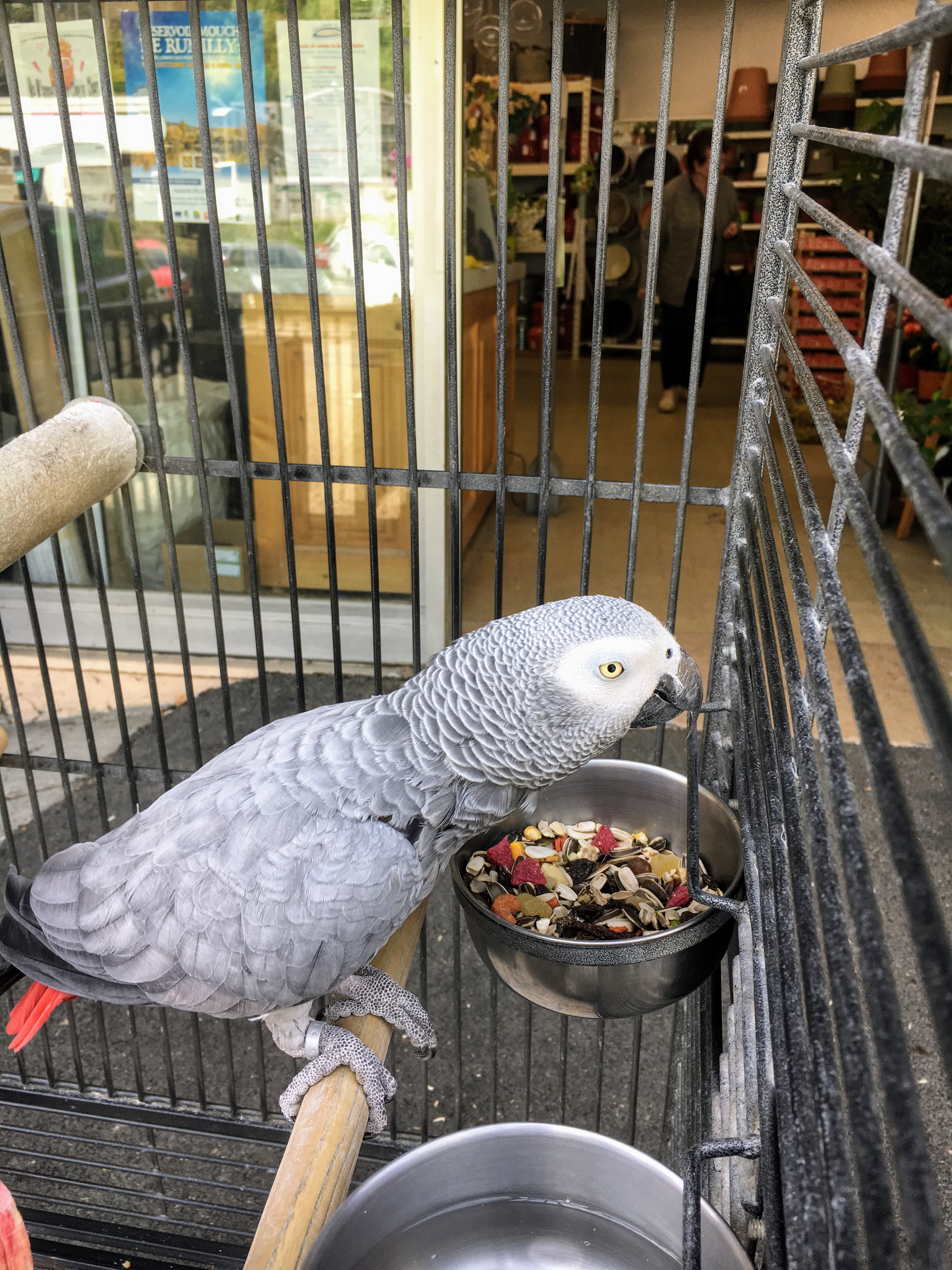 Photo n° 6 de l'avis de Sophie. fait le 01/05/2018 à 20:35