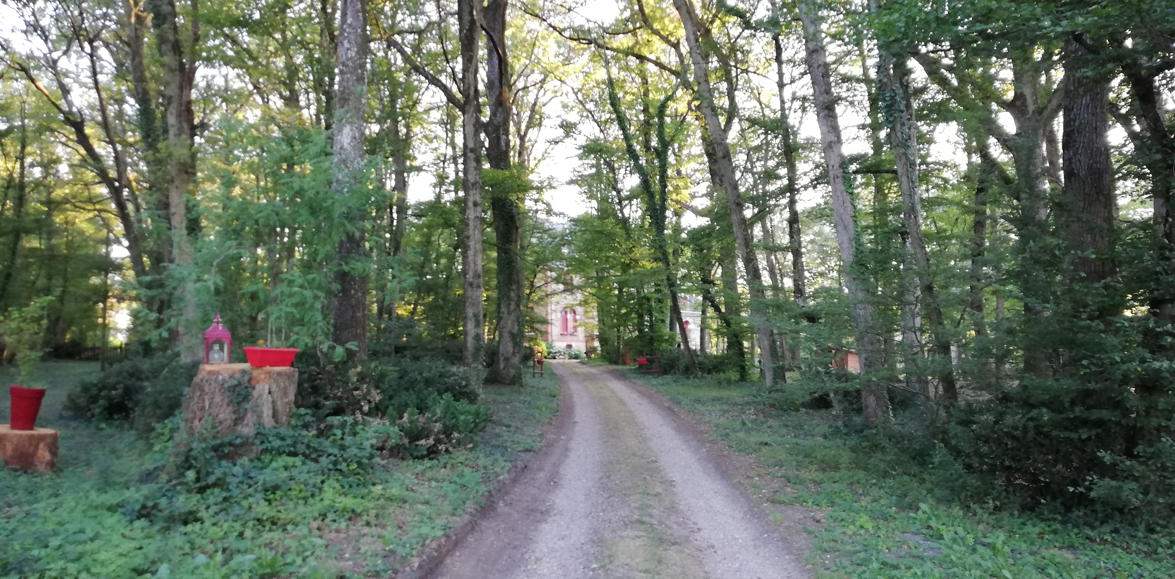 Photo n° 1 de l'avis de Olivier.e fait le 14/07/2022 à 19:59