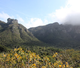 Kirstenbosch National Botanical Garden photo