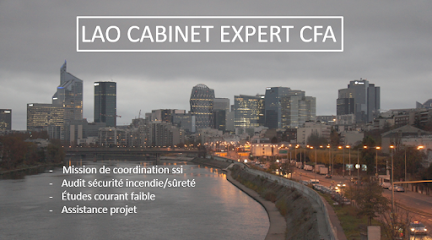 LAO Cabinet expert-cfa