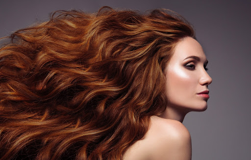 Beauty Salon «Albas Beauty Salon», reviews and photos, 850 State St, Bridgeport, CT 06604, USA