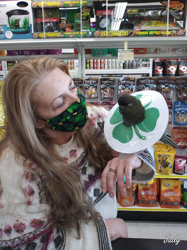 Pet Supply Store «Mellisa’s PET DEPOT», reviews and photos, 83 Faunce Corner Mall Rd, Dartmouth, MA 02747, USA