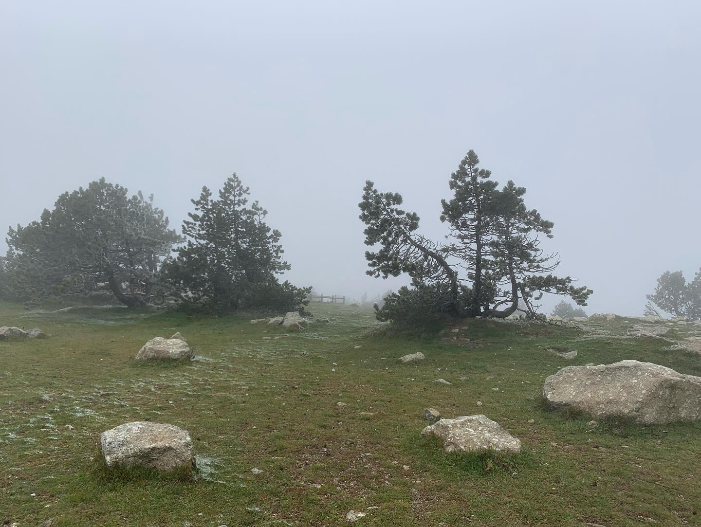 Photo n° 5 de l'avis de Vince. fait le 05/10/2022 à 09:10