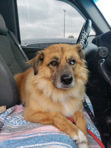 Pet Supply Store «Pet Supplies Plus», reviews and photos, 4824 Broadway St, Quincy, IL 62305, USA