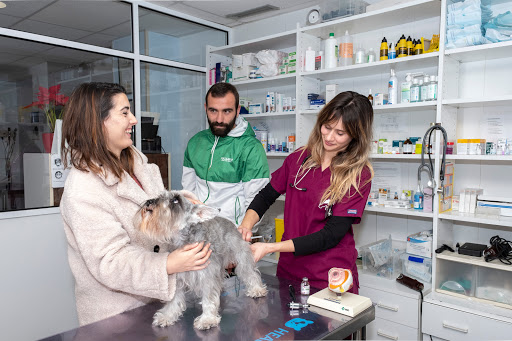 Centro Veterinario Leuka en Alicante