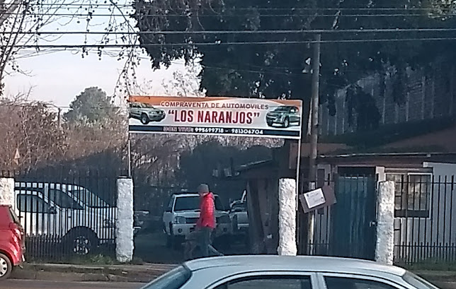 Compraventa De Automoviles "Los Naranjos"