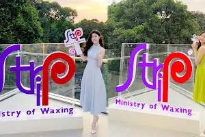 Strip Hồ Con Rùa - Ministry of Waxing image
