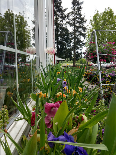 Market «E Z Orchards Farm Market», reviews and photos, 5504 Hazelgreen Rd NE, Salem, OR 97305, USA