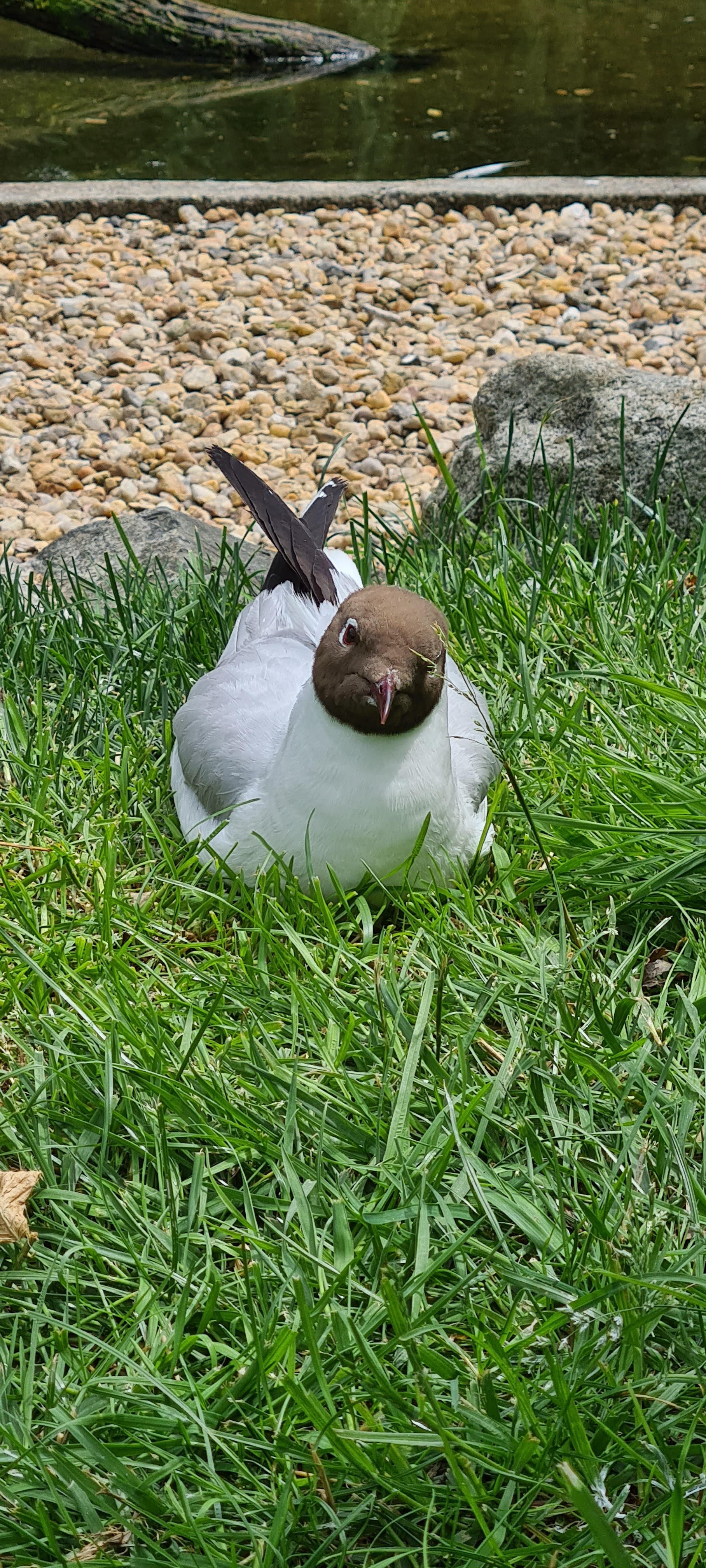 Photo n° 4 de l'avis de Phany.u fait le 12/05/2023 à 19:35