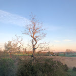 Photo n° 4 de l'avis de esteve.o fait le 09/04/2023 à 17:59 pour Brin de Cocagne à Fénols