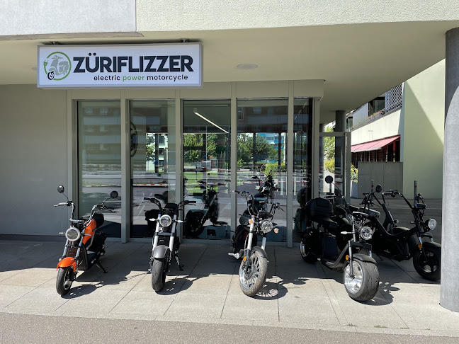 ZÜRIFLIZZER Grosshändler für Elektro Scooter/Roller