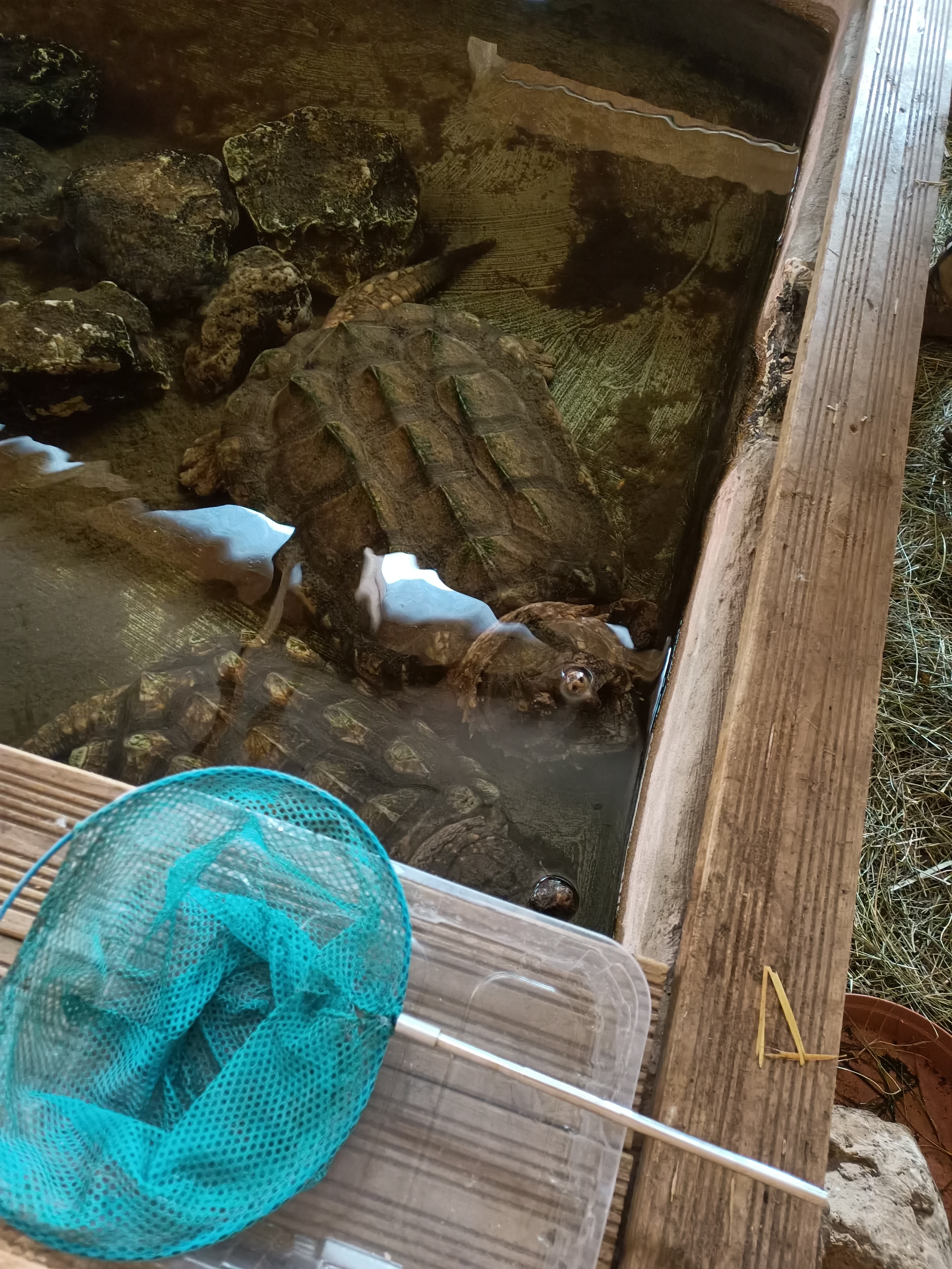 Photo n° 18 de l'avis de Dufau.a fait le 21/02/2024 à 14:51