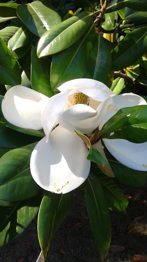 Natural History Museum «Rice Northwest Museum of Rocks & Minerals», reviews and photos, 26385 NW Groveland Dr, Hillsboro, OR 97124, USA