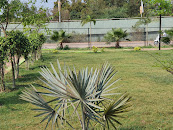 Sector-7 Park