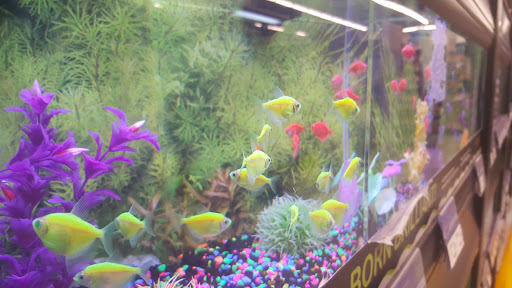 Pet Supply Store «PetSmart», reviews and photos, 1410 NE 23rd St, Pompano Beach, FL 33062, USA