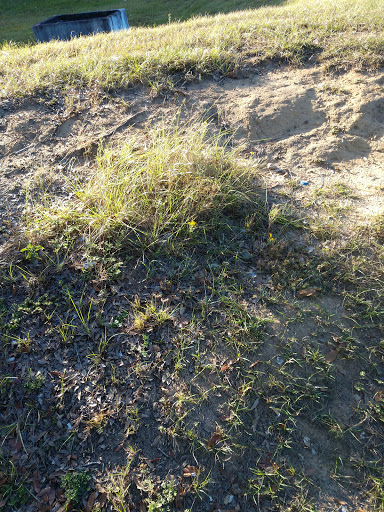 Auto Parts Store «Advance Auto Parts», reviews and photos, 2440 S Hwy 29, Cantonment, FL 32533, USA