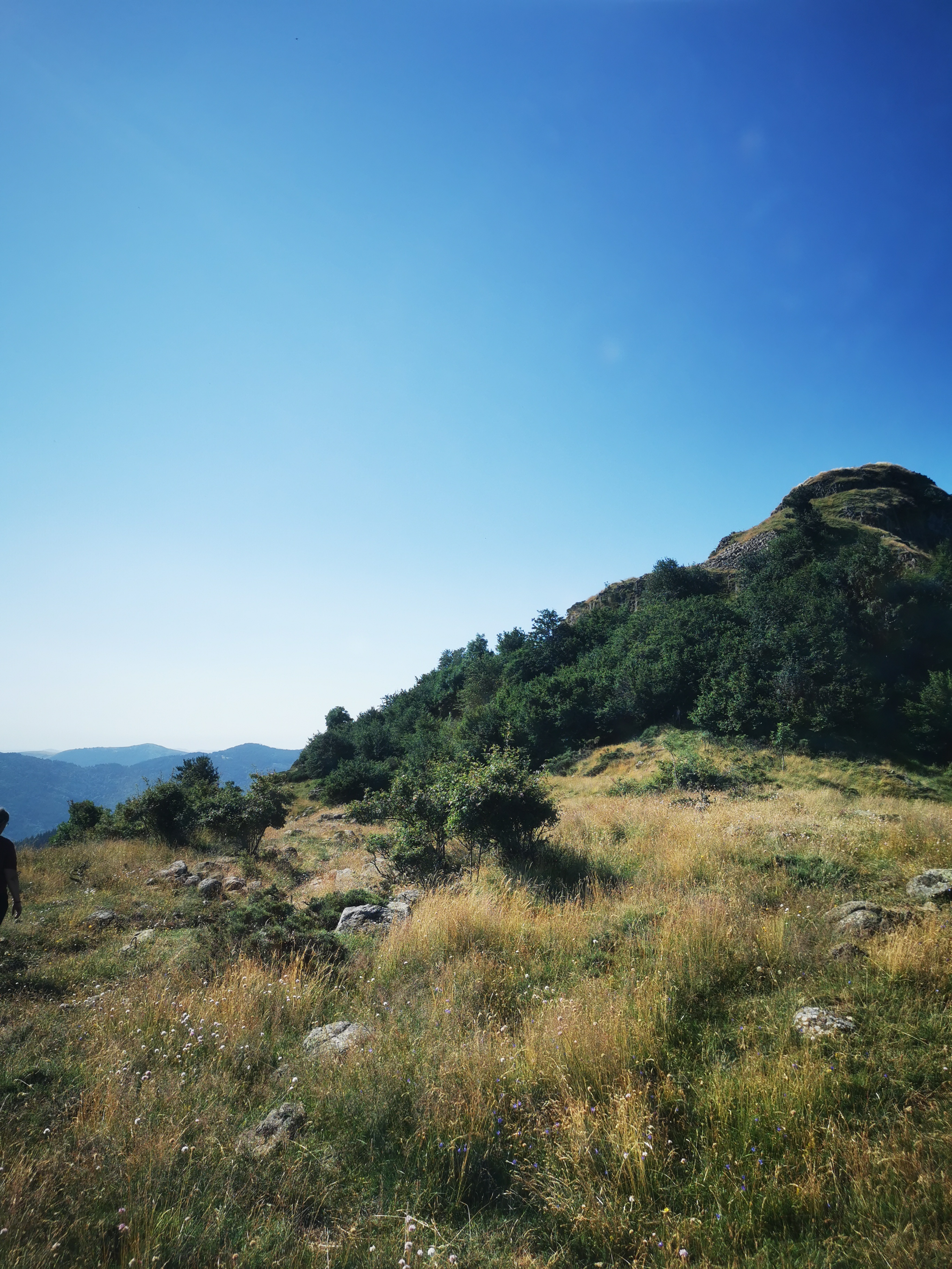 Photo n° 49 de l'avis de Seb. fait le 14/07/2023 à 04:55