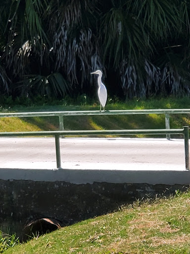 Golf Shop «Seven Springs Golf Shop», reviews and photos, 3535 Trophy Blvd, Trinity, FL 34655, USA