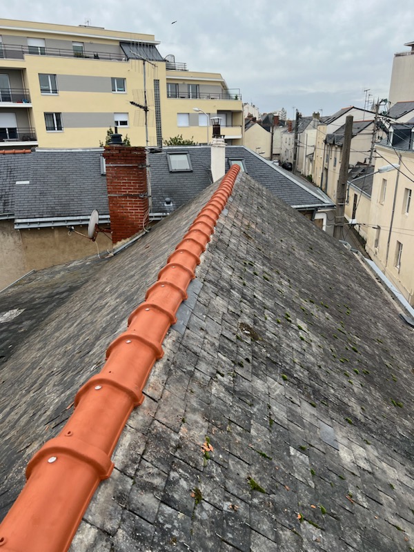 Photo n° 1 de l'avis de Gregory.e fait le 11/11/2023 à 17:51