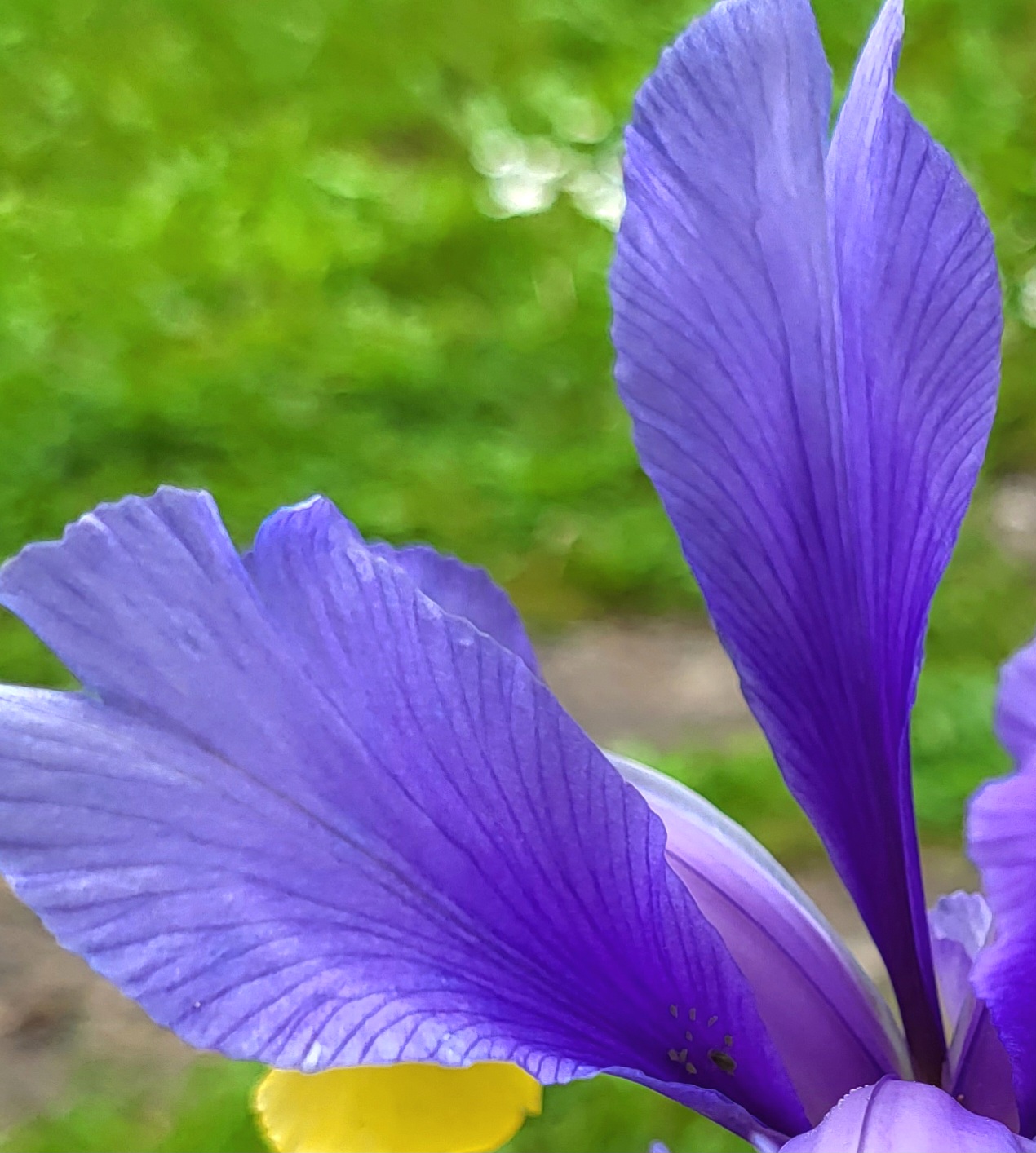 Photo n° 4 de l'avis de Pierre.o fait le 13/05/2023 à 04:02