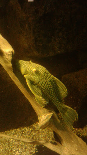 Aquaristik Marko Hanold unter Erkner, 