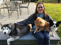 That Pet Lady - Photo 1 - Car repair in , Youngstown