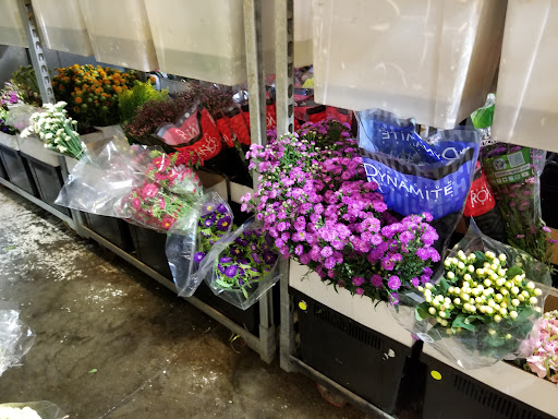 Harold's Wholesale Florist