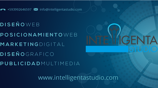 Intelligenta Studio