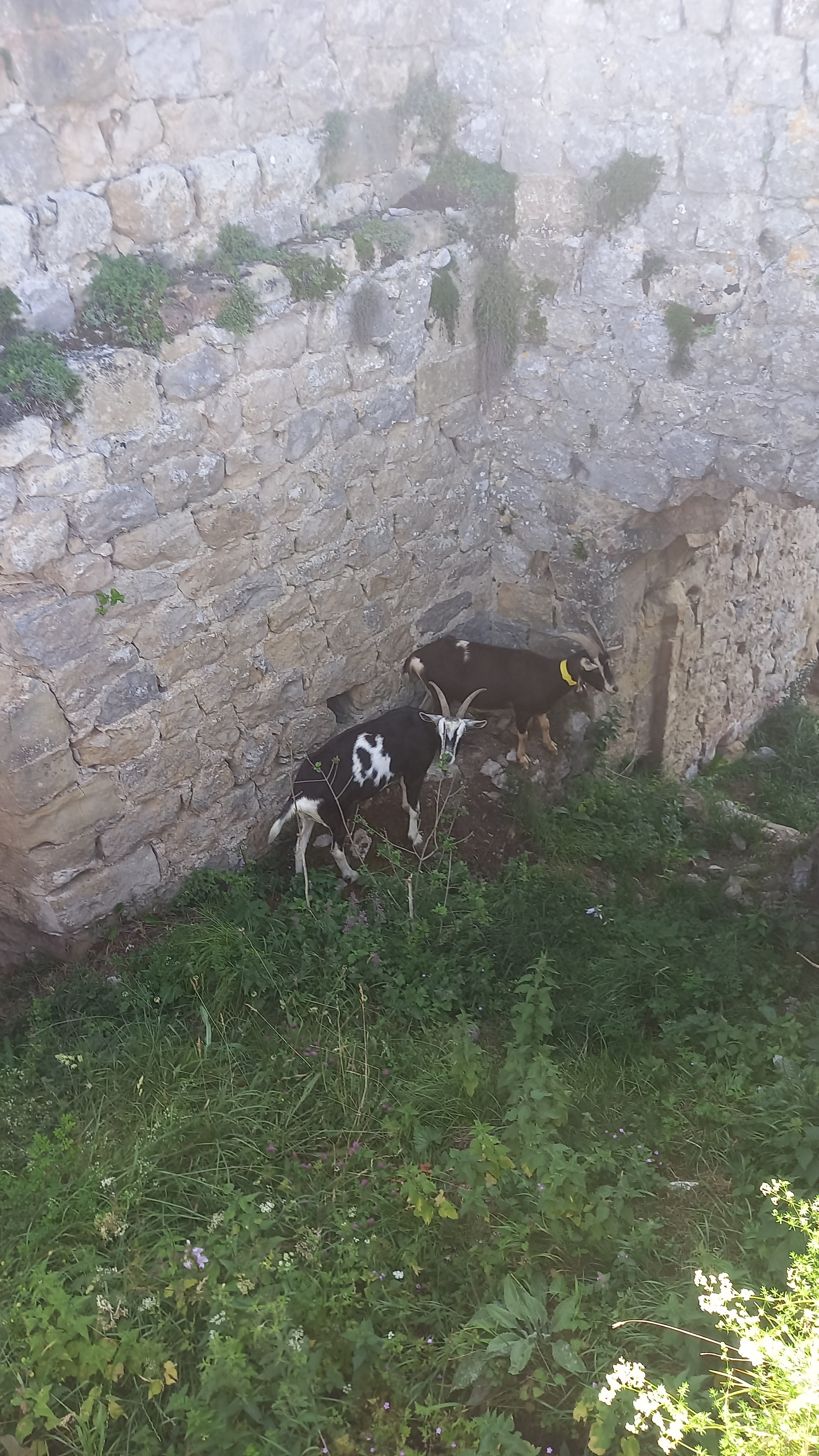 Photo n° 9 de l'avis de Jean.r fait le 08/07/2023 à 14:22