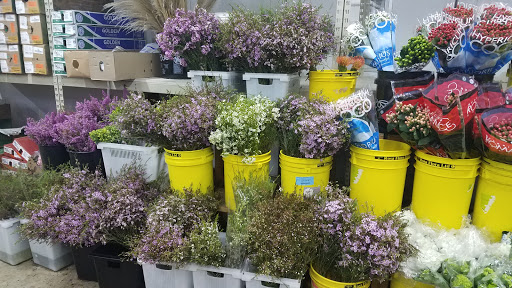 Florist «Nordlie Inc, - Detroit», reviews and photos, 25300 Guenther, Warren, MI 48091, USA