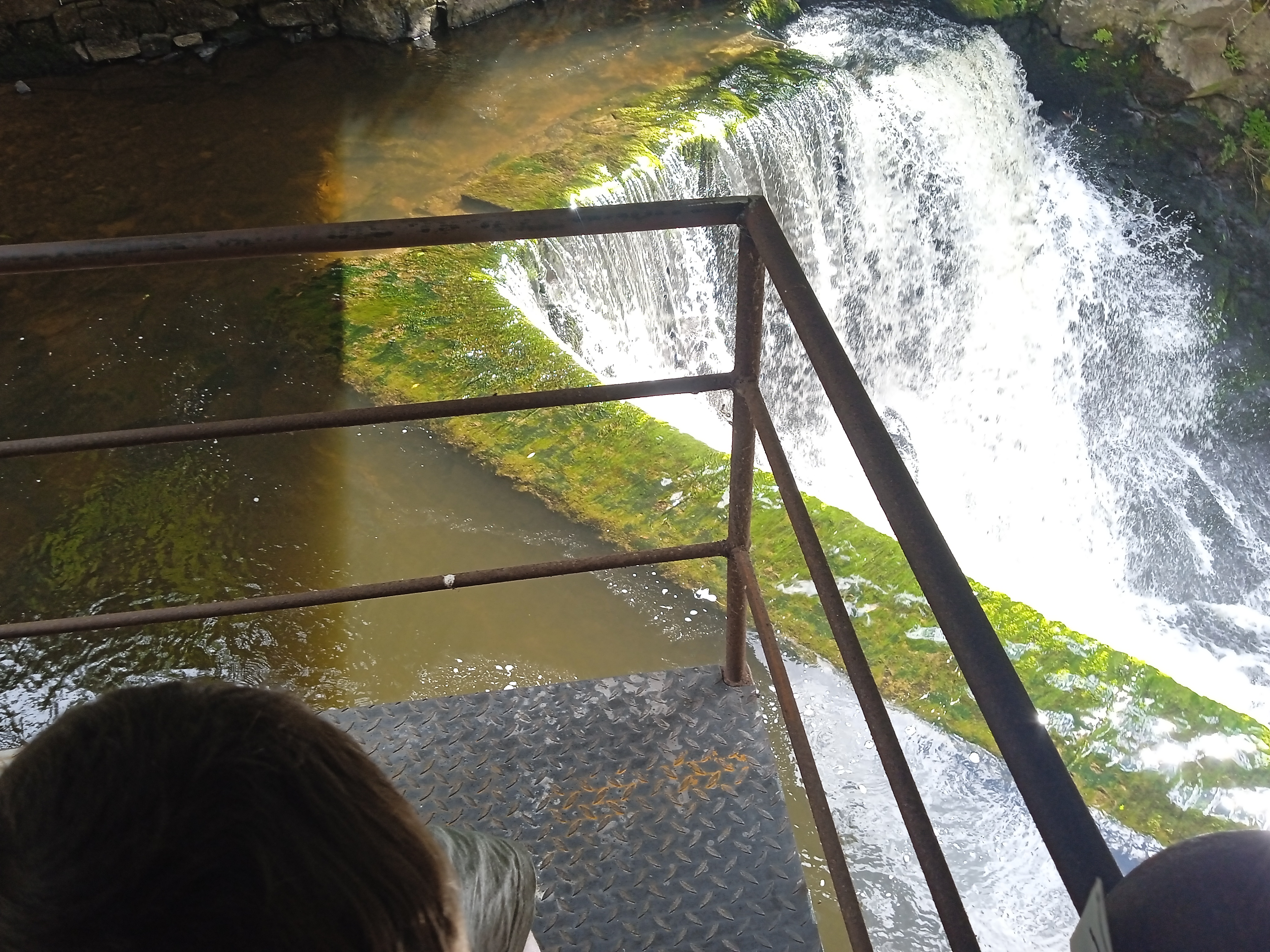 Photo n° 3 de l'avis de léa.o fait le 08/08/2023 à 18:48