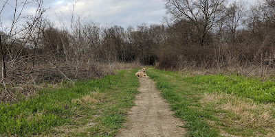 Rowlett Creek - Dallas County Nature Preserve