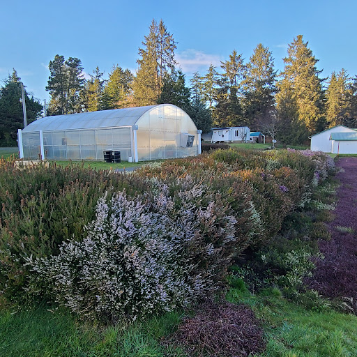 Museum «Cranberry Museum», reviews and photos, 2907 Pioneer Rd, Long Beach, WA 98631, USA
