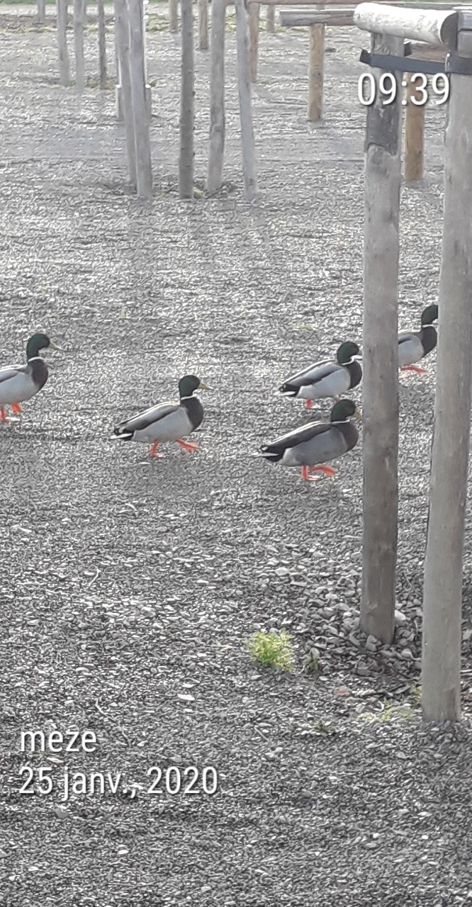 Photo n° 1 de l'avis de Séverine.o fait le 25/01/2020 à 09:41