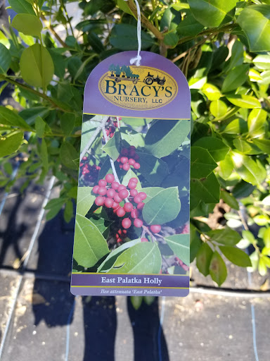 Plant Nursery «Guerin Nursery and Boutique», reviews and photos, 1418 Fall Creek Hwy, Granbury, TX 76049, USA