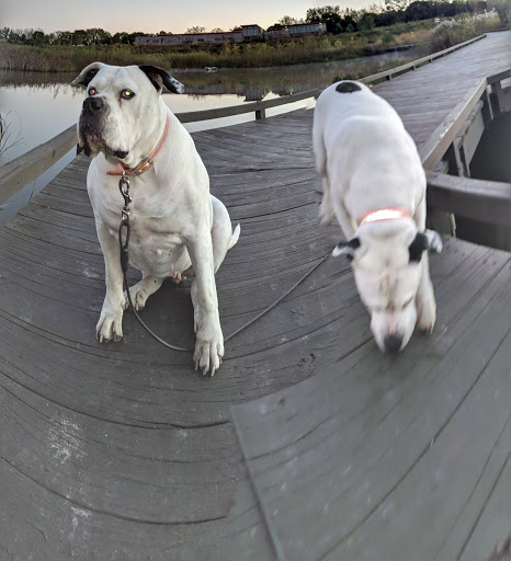 Park «Scioto Audubon Metro Park.», reviews and photos, 400 W Whittier St, Columbus, OH 43215, USA