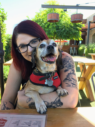 Shopping Mall «Papago Plaza Shopping Center», reviews and photos, 1408 N Scottsdale Rd, Scottsdale, AZ 85257, USA