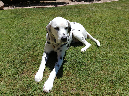 Shopping Mall «Desert Village Shopping Center», reviews and photos, 23359 N Pima Rd, Scottsdale, AZ 85255, USA