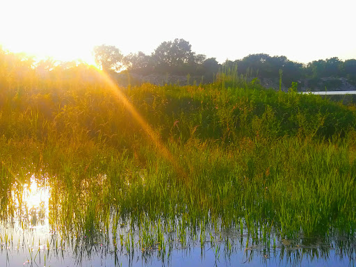 Fish Farm «The Lessman Farm & Truckhenge», reviews and photos, 4124 NE Brier Rd, Topeka, KS 66616, USA