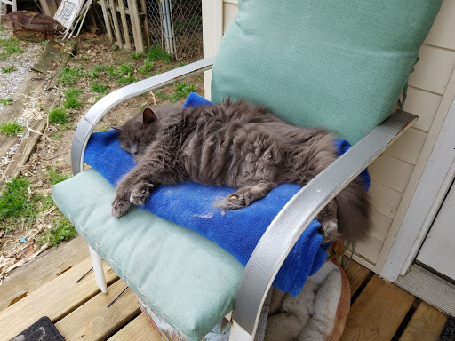 Moving and Storage Service «Kentuckiana Moving LLC, Movers | New Albany Movers | Jeffersonville Movers», reviews and photos, 2011 Southern Hills Dr, Borden, IN 47106, USA