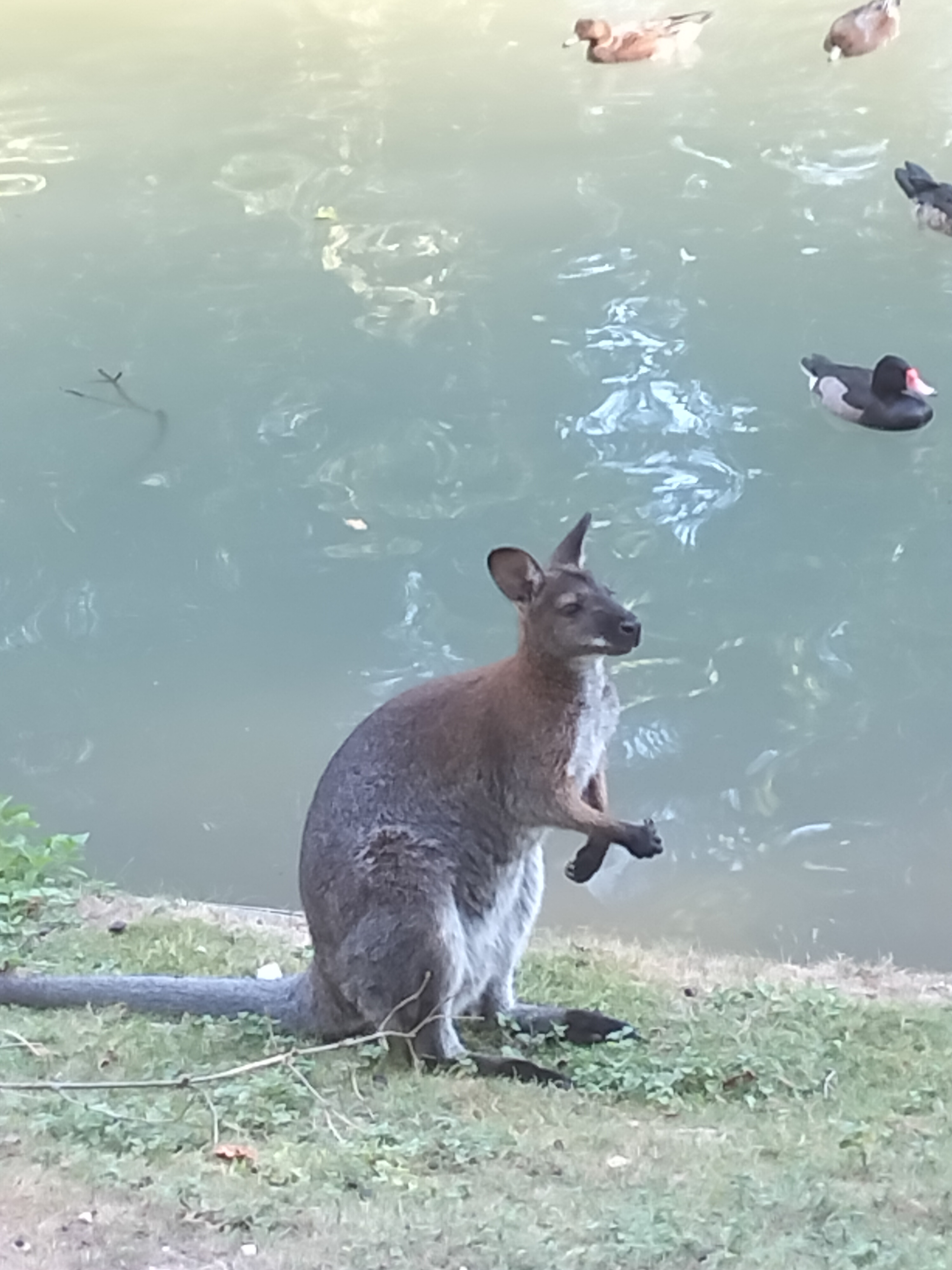 Photo n° 11 de l'avis de Elise.u fait le 08/09/2022 à 12:48