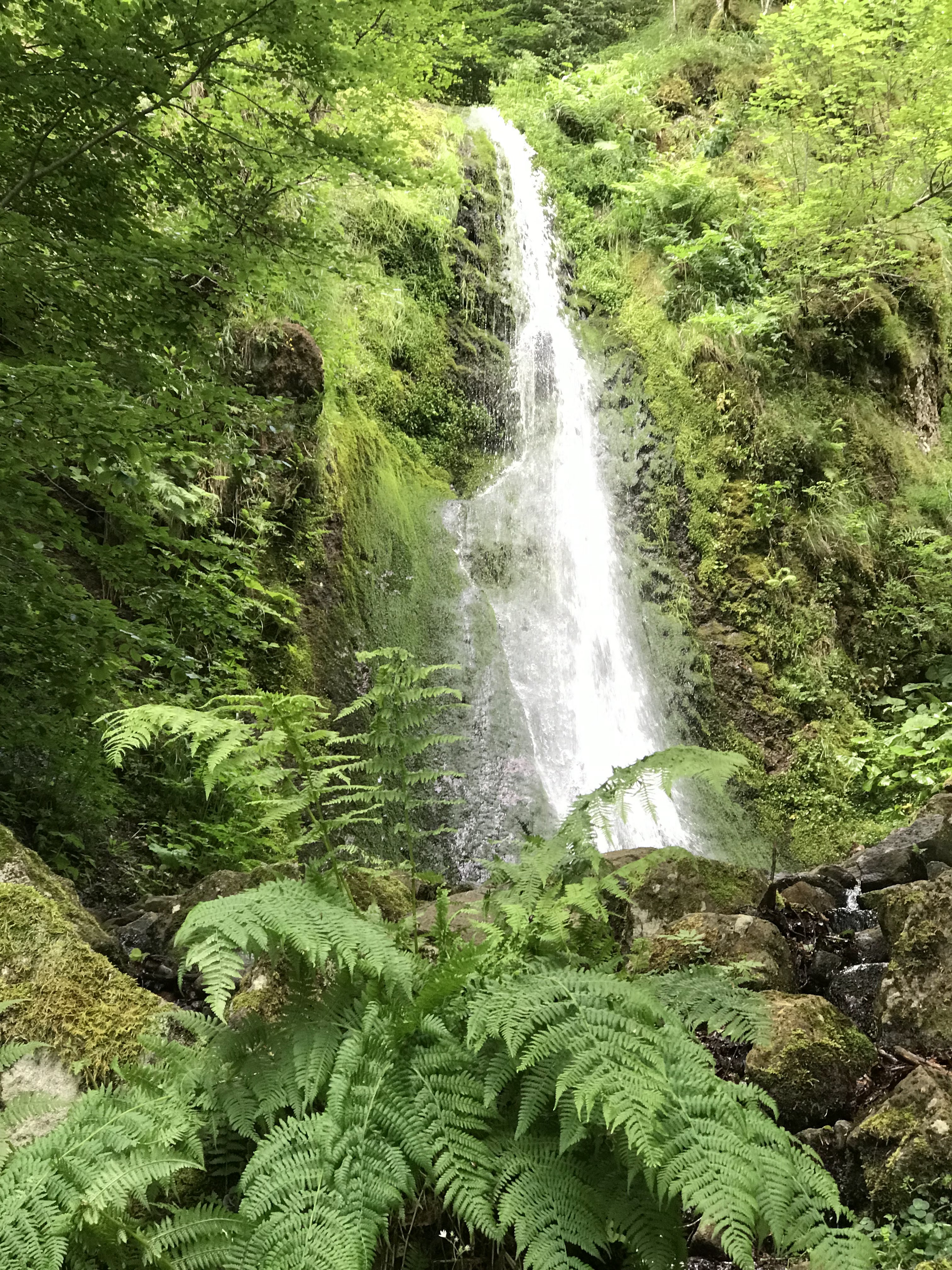 Photo n° 1 de l'avis de thierry.h fait le 10/07/2019 à 11:38