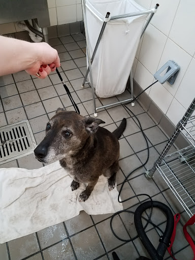 Pet Supply Store «PetPeople», reviews and photos, 3330 Washtenaw Ave, Ann Arbor, MI 48104, USA