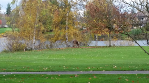 Private Golf Course «Michelbook Country Club», reviews and photos, 1301 NW Michelbook Ln, McMinnville, OR 97128, USA