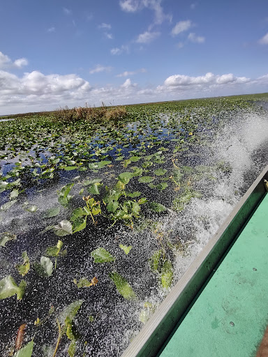 Sightseeing Tour Agency «Wild Willys Airboat Tours», reviews and photos, 4715 Kissimmee Park Rd, St Cloud, FL 34772, USA