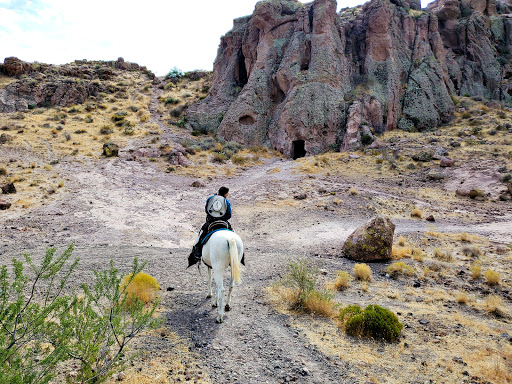 Hiking Area «Monolith Garden Trail», reviews and photos, Metwell Dr, Kingman, AZ 86401, USA